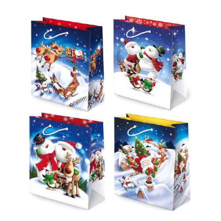 Sac cadeau en papier de Noël MIX K6/1 290x185x420 mm 10 pcs