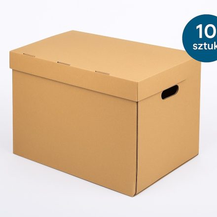 Déplacement du carton 500x305x325mm zw vague B 460g Durée 10 pcs