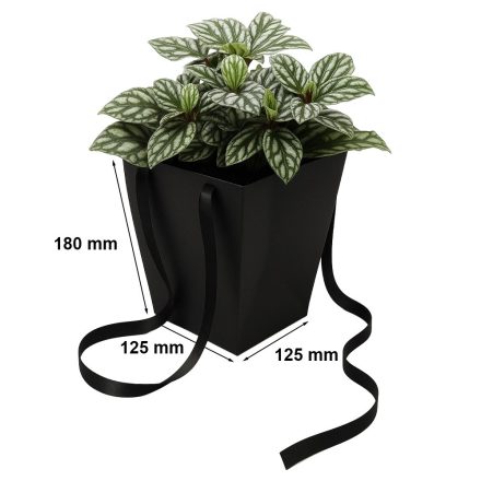 Sac Noir Prestige 125x125x180/165x165mm élégant pour les bouquets