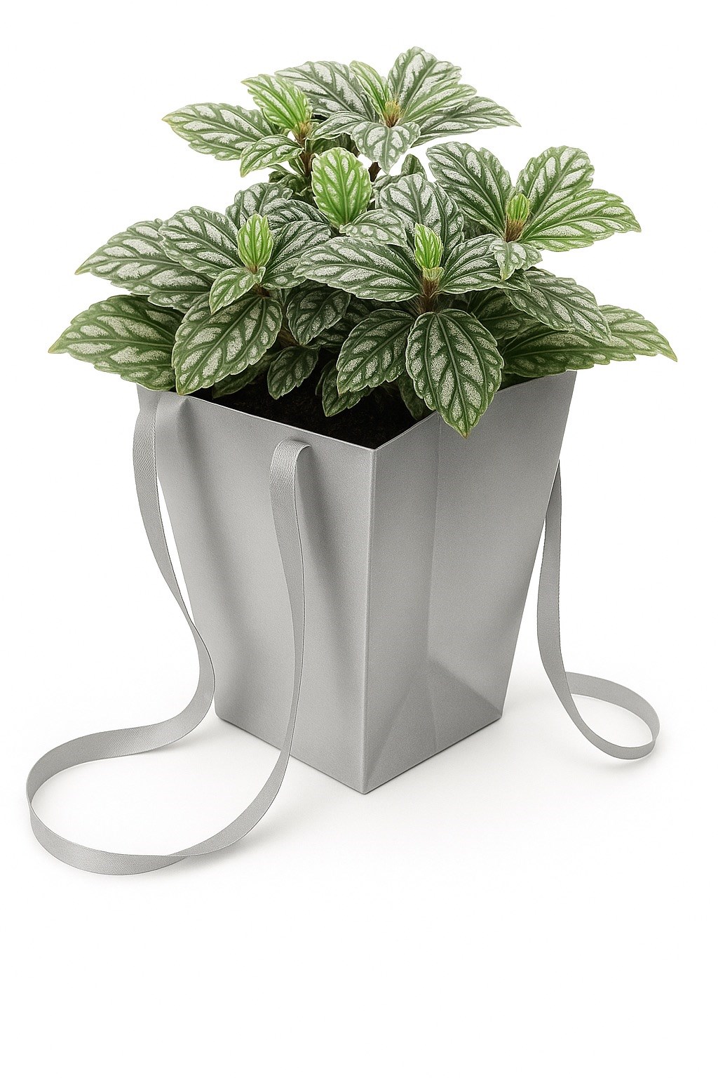 NEOPAK produit d'emballage