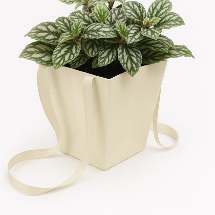 Crème de sac Prestige 125x125x180/165x165 mm pour bouquets et plantes