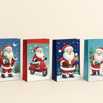Sacs de Noël sacs en papier cadeau MIX 155x60x155 mm 10