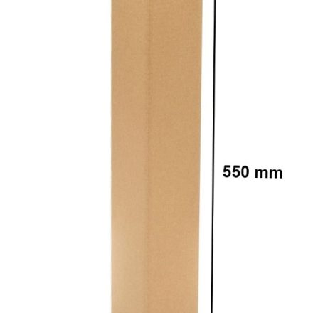 Carton 550x80x80mm B2 - Boîte de mode pour l'expédition
