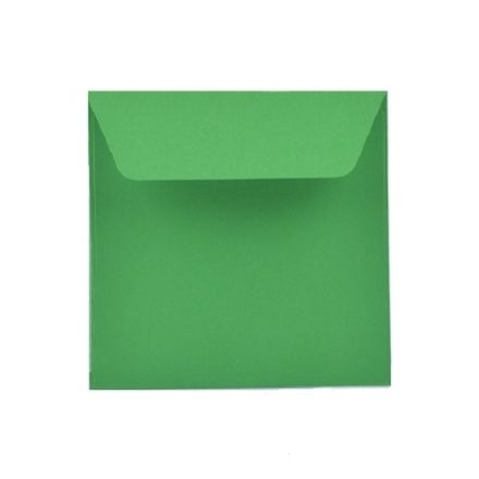Boîtes CD et DVD papier vert pour assiettes 125x125 mm 50 pc 120 g