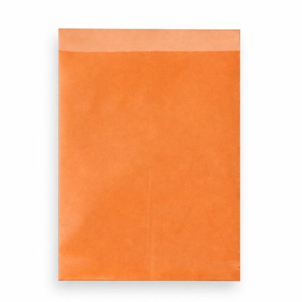 Enveloppes en plastique de livraison, feuilles oranges 230x340 mm 50 pcs