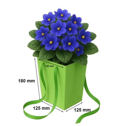 Sac vert Prestige 125x125x180/165x165 mm pour pots de fleurs