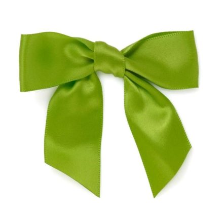 Courroies satinées 25 mm vert clair avec collant 10 pcs pour cadeaux
