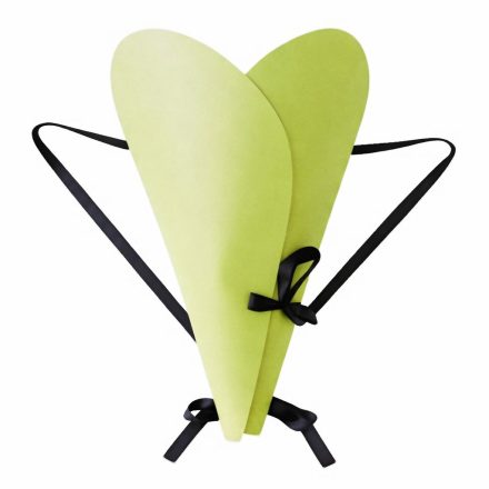 Sac pour Fleurs Bouquets Transporteur avec Poignées Sac à Dos - Vert