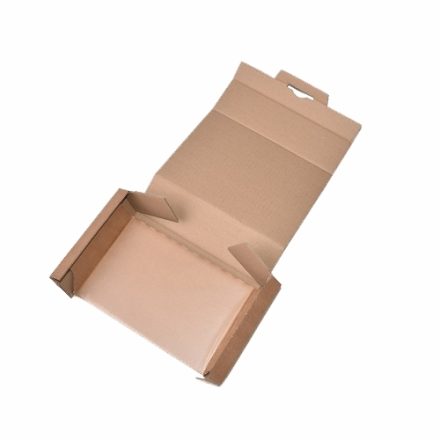Correction de la case A5 225x145x50 mm boîte de commande postale avec feuille électronique