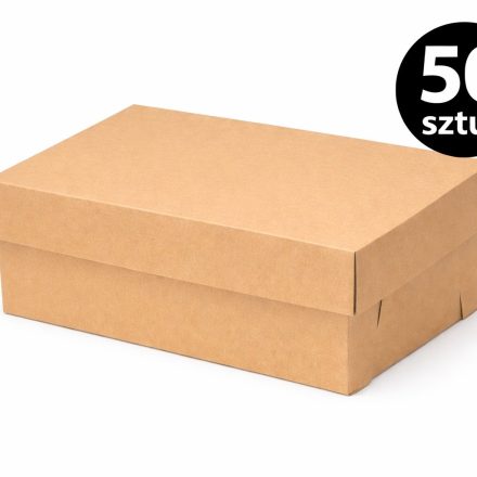 Carton 320x220x130mm Boîte avec capuchon de chaussure 50 Art.