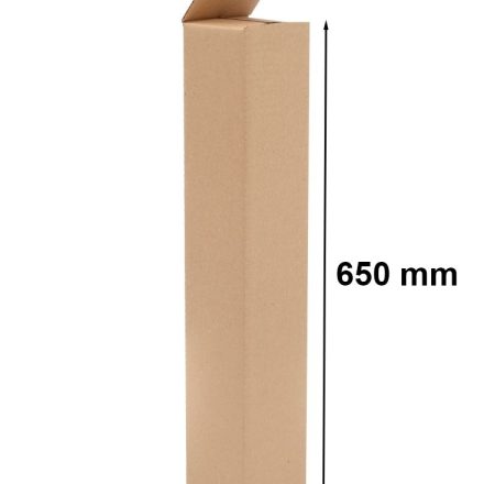 Carton A1 pour affiches 650x120x120 mm autoblocage