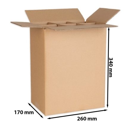 Carton 260x170x340 mm (en anglais) 6 bouteilles de mousses EB 585