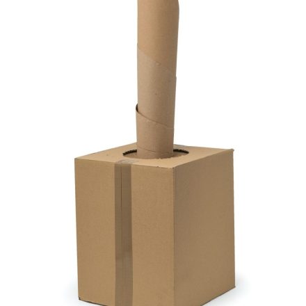 Remplissage de papier biologique ROLOPAK L 10 kg 350 m 550 lAnnées