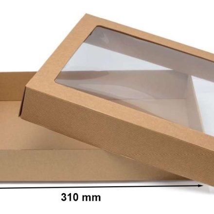 Boîte de coupure avec fenêtre 310x235x70 mm Casquette