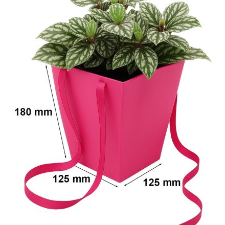 NEOPAK produit d'emballage