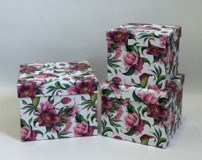 NEOPAK produit d'emballage